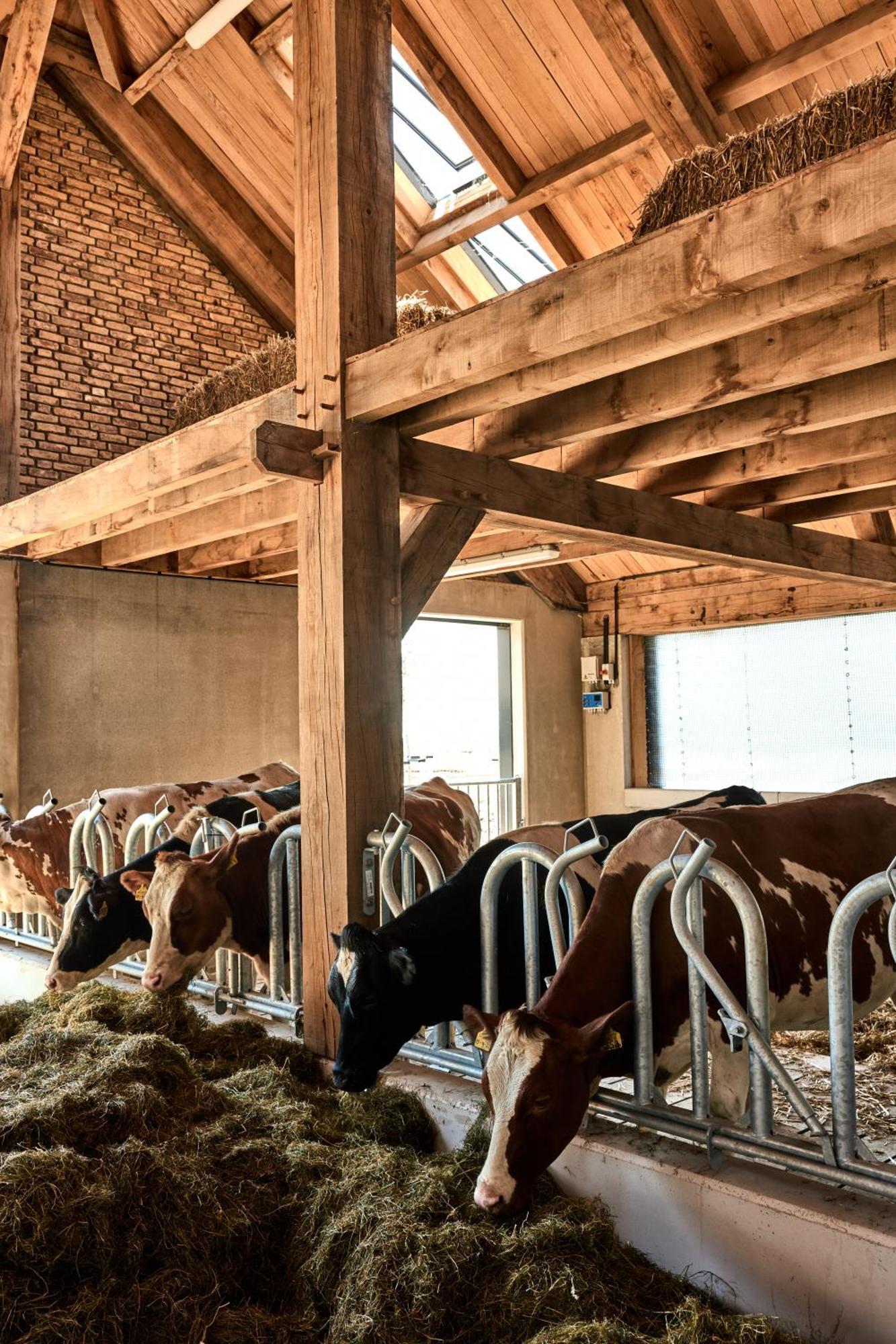 Over-Amstel Boerderij Ouderkerk aan de Amstel Buitenkant foto